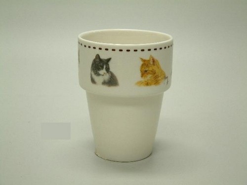 Franciens cats melkbeker