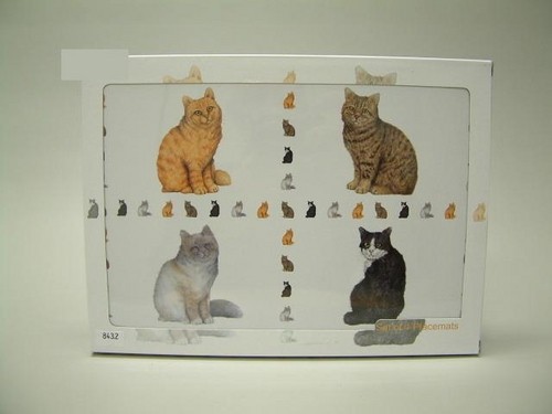Poes placemat / Leonardo