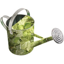 Gieter klimopdecor 5ltr / Esschert Design