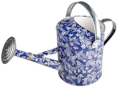 Gieter Blue blossom / Esschert Design