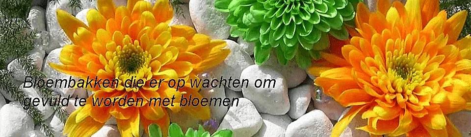 Bloembakken