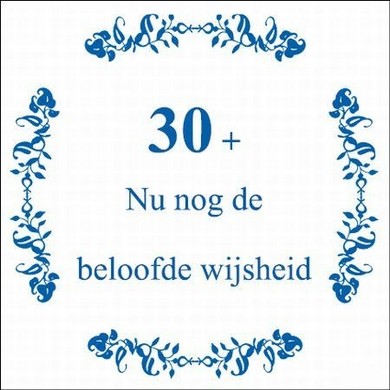 30 Nu nog de beloofde ... Delfts Blauw
