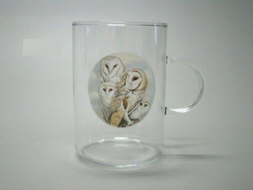 Uil theeglas