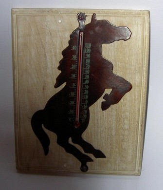 Thermometer Paard