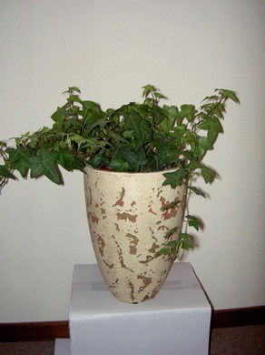 Bloempot handgevormd Bloempot handgevormd