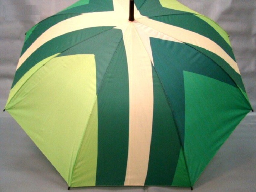 Paraplu Achterhoekse vlag