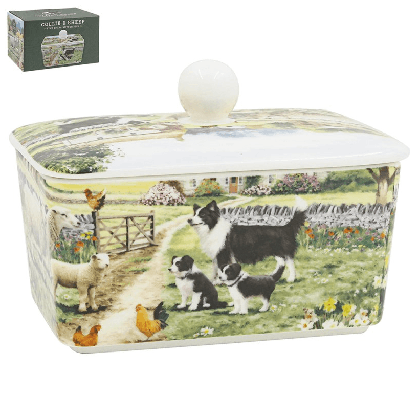 Botervloot schaap en collie