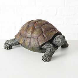 Decoratieve Schildpad levensecht