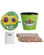 Kweekset zonnebloem / Esschert Design