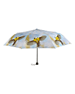 Paraplu pimpelmees