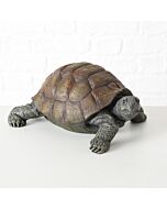 Decoratieve Schildpad levensecht