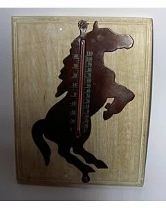 Thermometer Paard