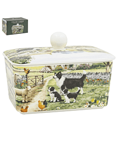 Botervloot schaap collie