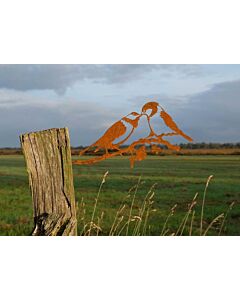 Geluksvogel Mezen paartje Roest Metaal