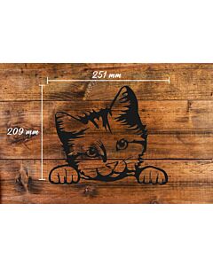 Kiekeboe zwarte kat Kitty