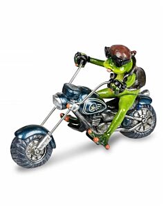 Formano Kikker Biker op shopper 