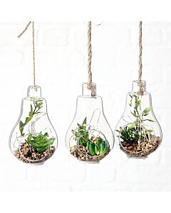 Led hanglamp met plant