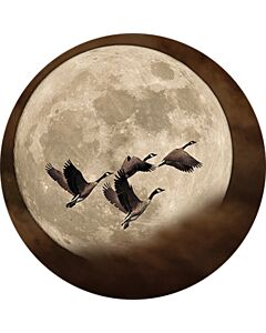 Muurcirkel ganzen voor de maan
