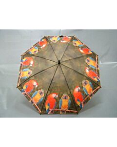 Paraplu Papegaai van boven gezien