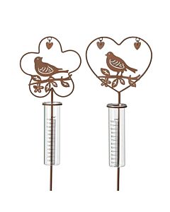 Regenmeter Rain vogel in hart