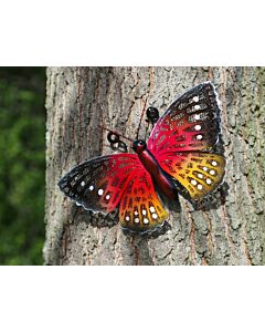 Wanddecoratie Oranje vlinder metaal sfeerfoto