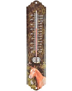 Thermometer paard