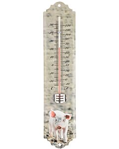 Thermometer varken