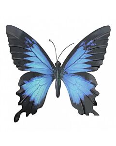 Wanddecoratie Vlinder Blauw met Zwart