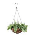 Mand Hangend-klassiek groot met plant
