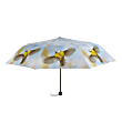 Paraplu pimpelmees