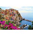 Village of Manarola Cinque Terre 1000 stukjes