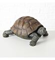 Decoratieve Schildpad levensecht