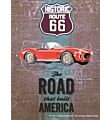 Route 66 Ford Cobra wandplaat