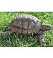 Decoratieve Schildpad levensecht kopen