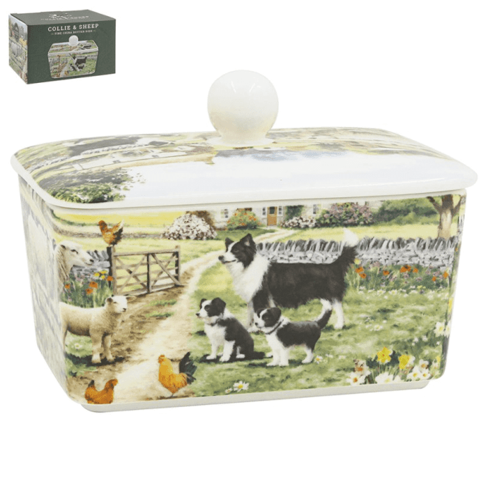 Botervloot schaap collie