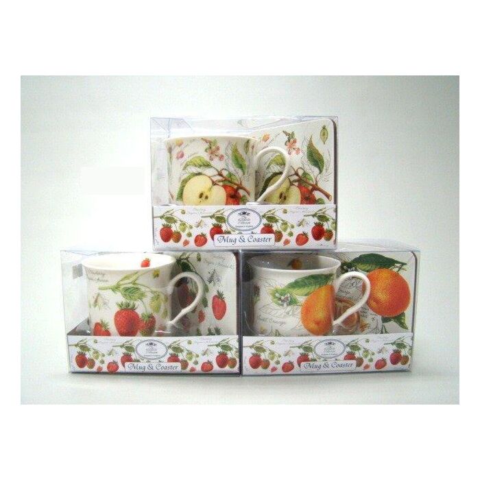 Fruit mok met onderzetter / Leonardo