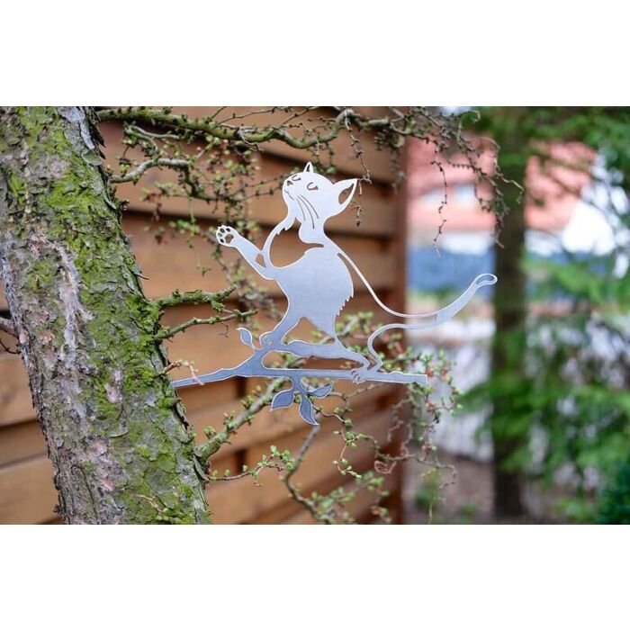 Geluksdier Kat klimmend in een boom