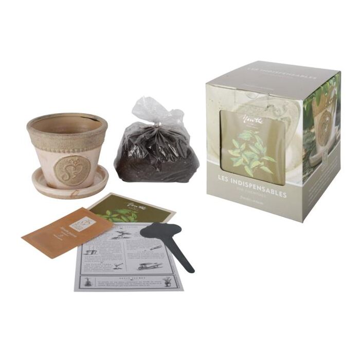 Kweekset Munt / Secrets du Potager