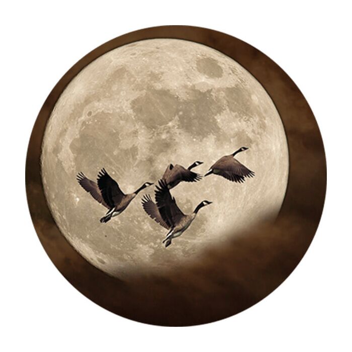 Muurcirkel ganzen voor de maan