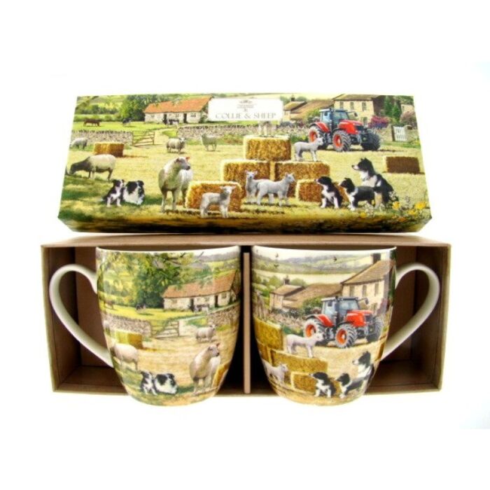 Mokkenset schaap en collie