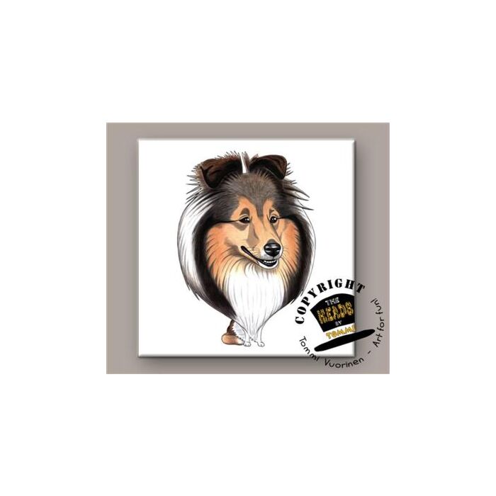 Shetland Sheepdog tegel