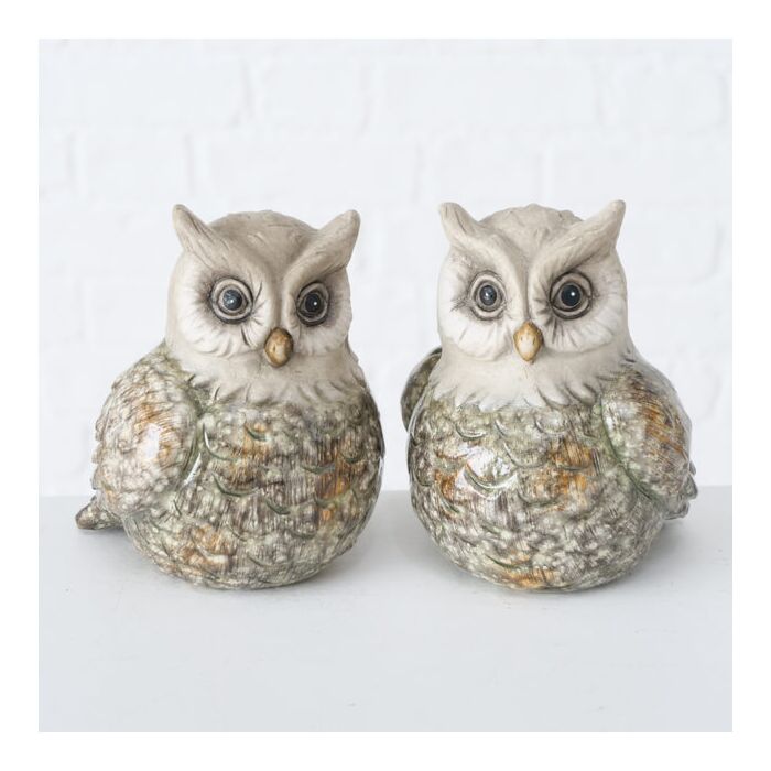 Decoratieve uiltjes Kuga