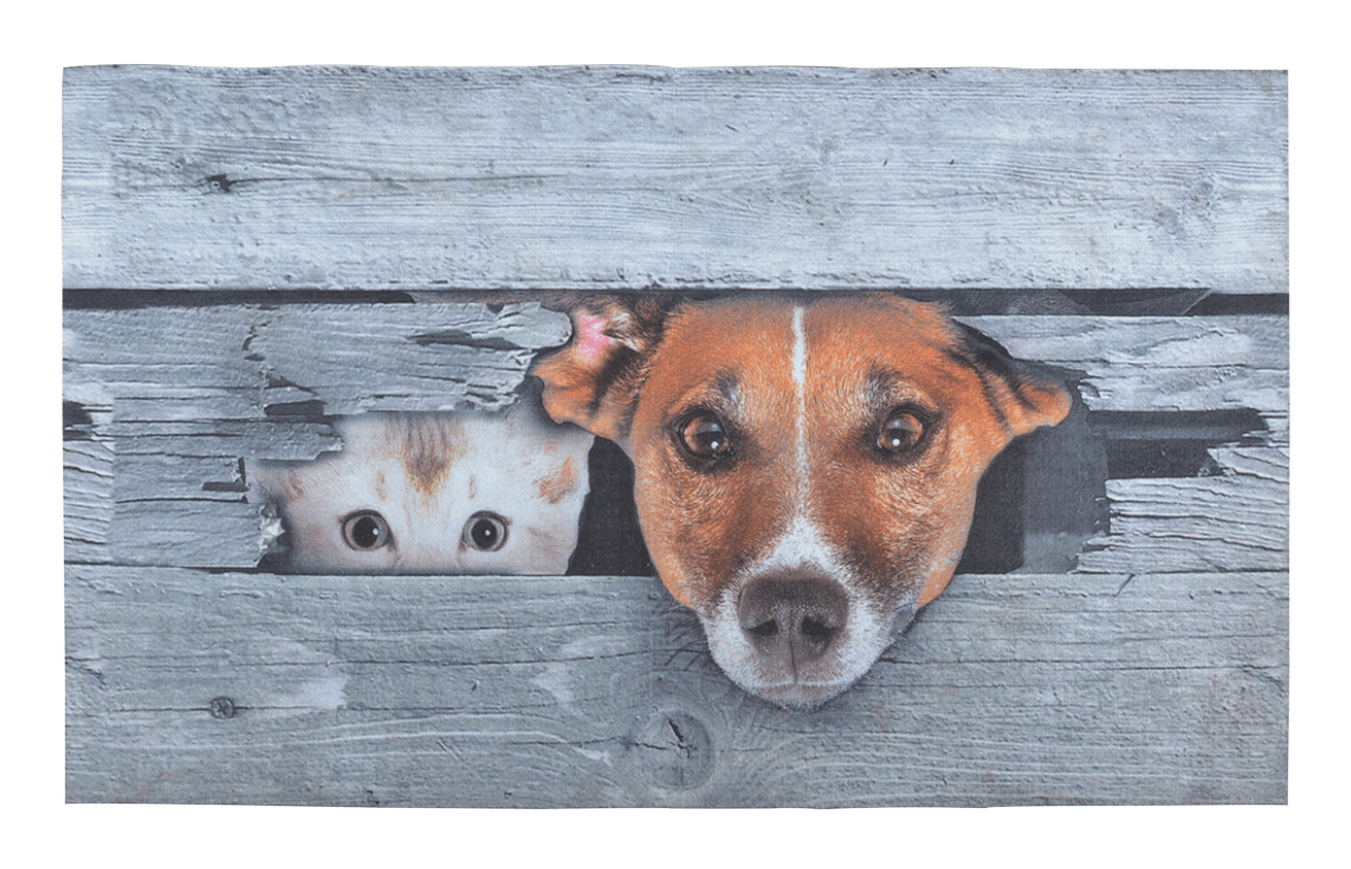 Deurmat Kiekeboe Hond en Kat Deurmat Kiekeboe Hond en Kat