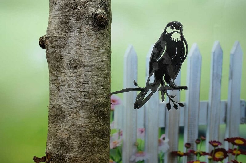 Geluksvogel havik