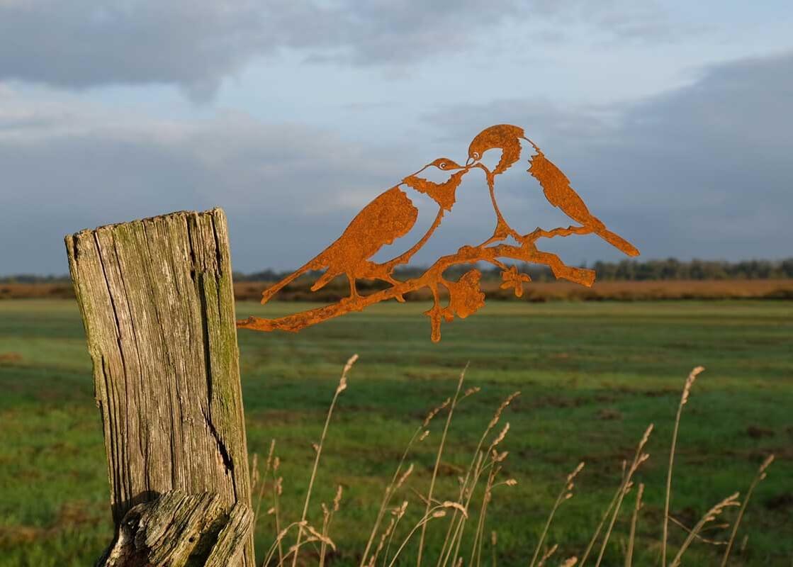 Geluksvogel Mezen paartje - Roest Metaal