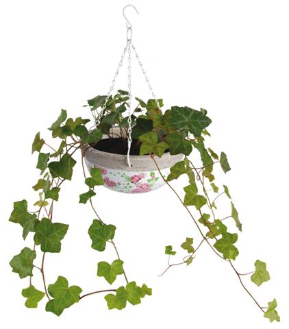 Hanging basket roos print - Esschert Design