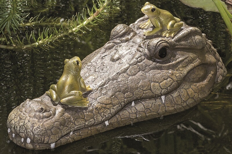 Krokodil Ally Drijvend Krokodil Ally Drijvend