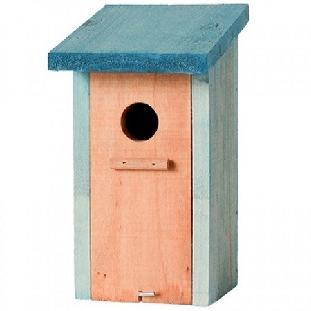 Vogelhuisje met blauw dak
