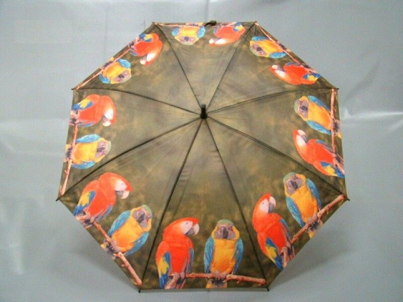 Paraplu Papegaai