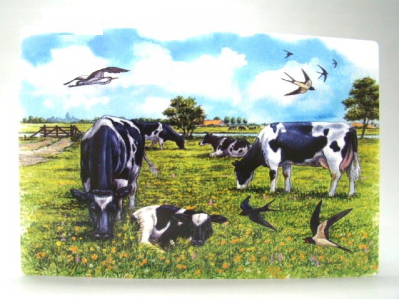 Placemat Koe Placemat Koe